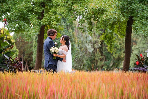 couple surrounded by red flowers