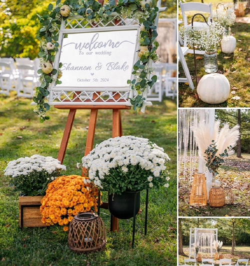 stevensville conservation area outdoor wedding ceremony decor 