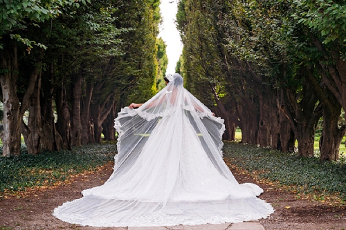  white oaks wedding brides dress with long veil