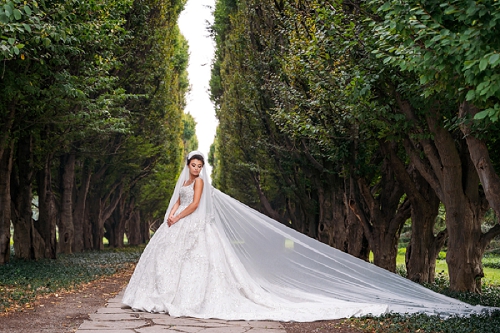 bride with long veil 